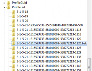 RDS_Registry_Temporary_Profile